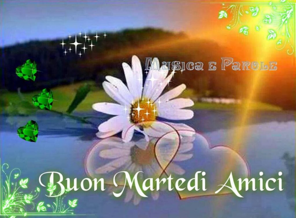 Buon Martedì amici