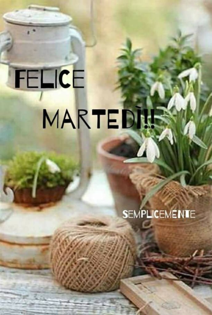 Felice Martedì!!