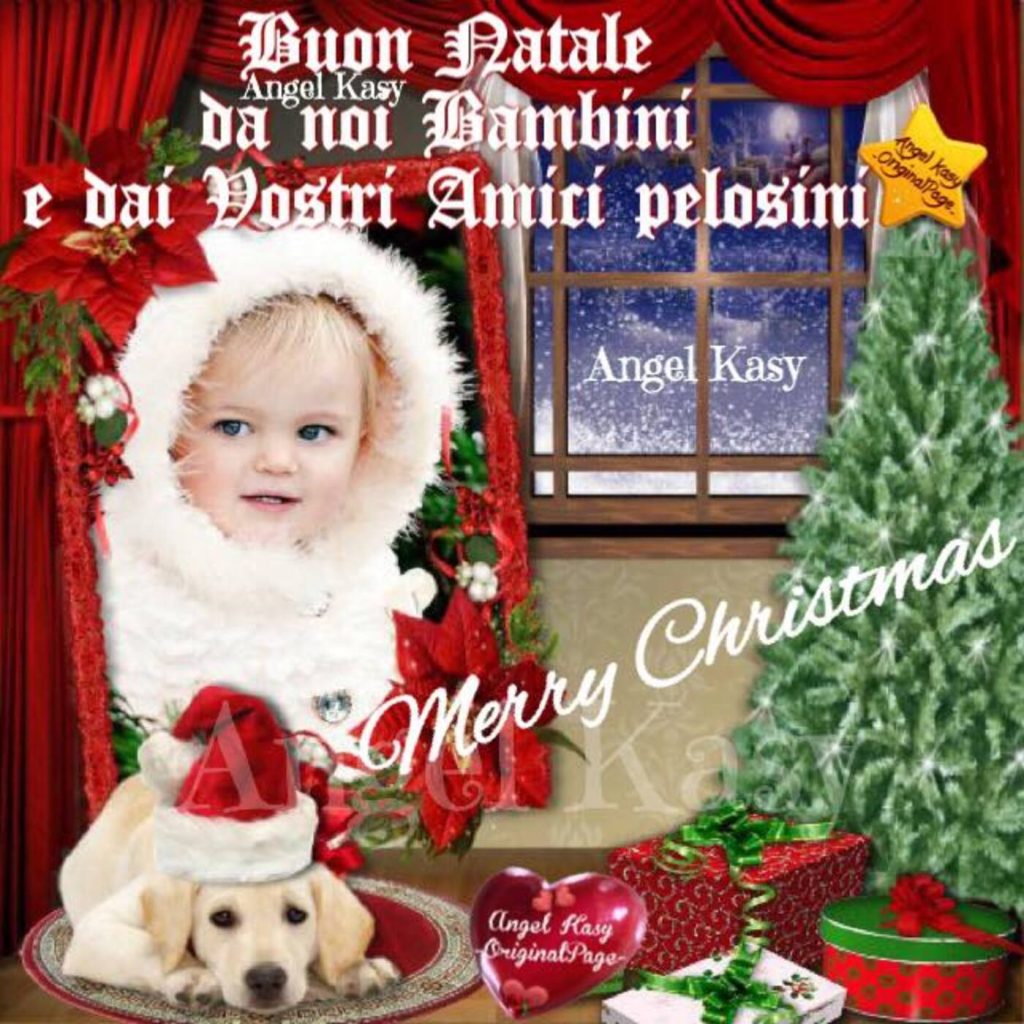 Buon Natale da noi bambini e dai vostri amici pelosini Merry Christmas