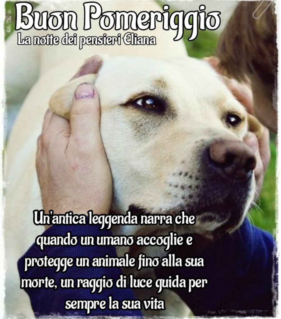 Buon pomeriggio un'antica leggenda narra che quando un umano accoglie e protegge un animale fino alla sua morte, un raggio di luce guida per sempre la sua vita