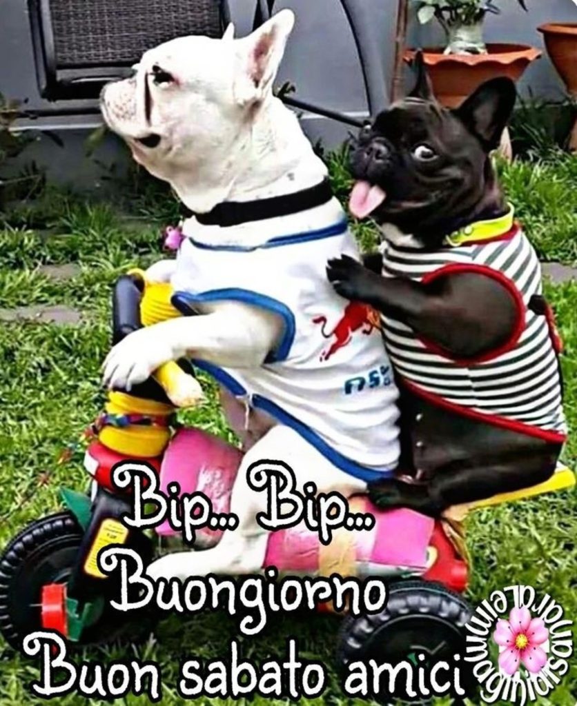 Bip...Bip... Buongiorno Buon Sabato amici