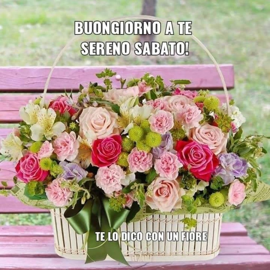 Buongiorno a te sereno sabato!