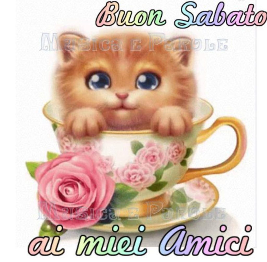 Buon Sabato ai miei amici