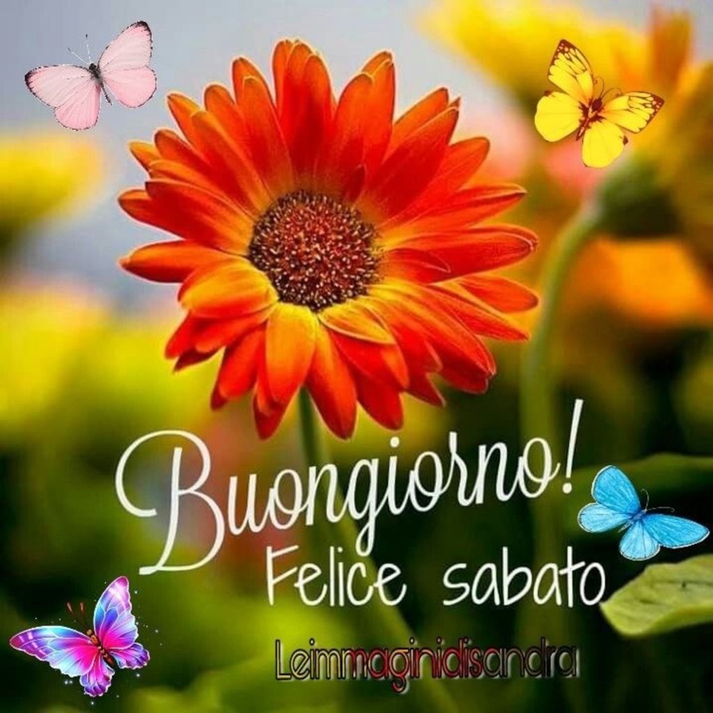 Buongiorno! Felice sabato