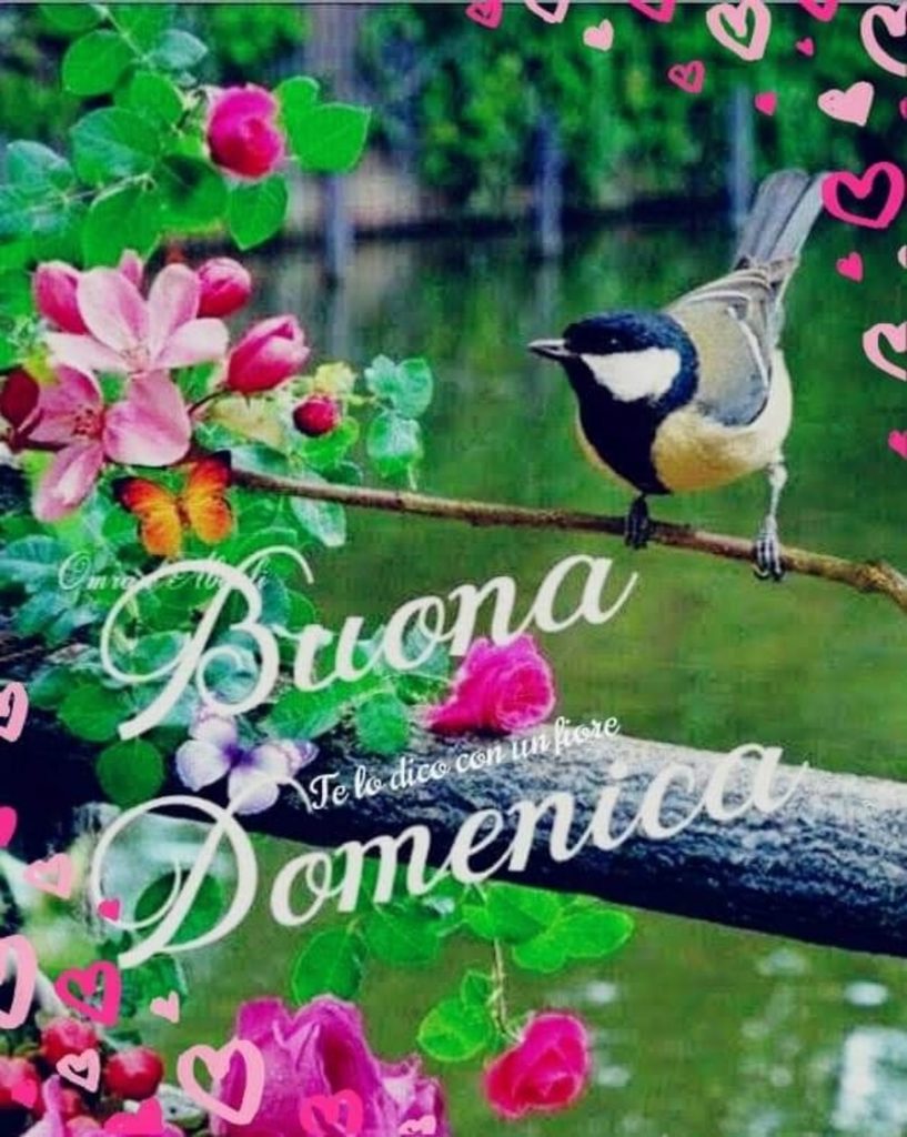 Buona Domenica