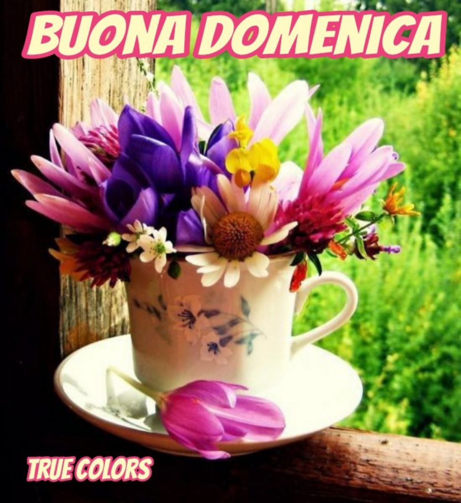 Buona Domenica