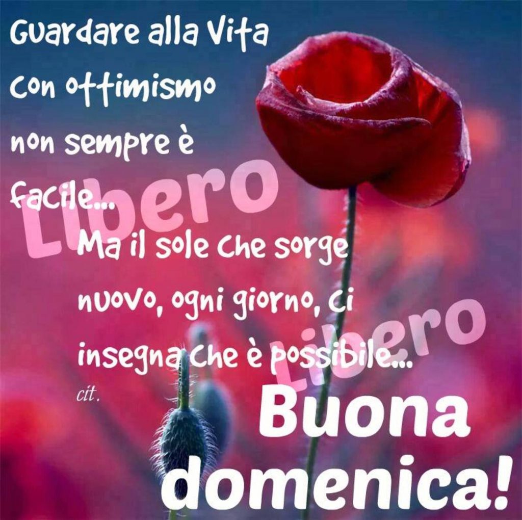 Guardare alla vita con ottimismo non sempre è facile... Ma il sole che sorge nuovo, ogni giorno, ci insegna che è possibile... Buona Domenica!