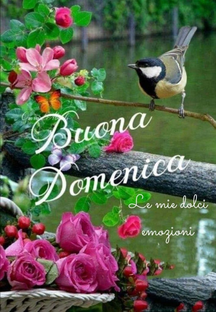 Buona Domenica