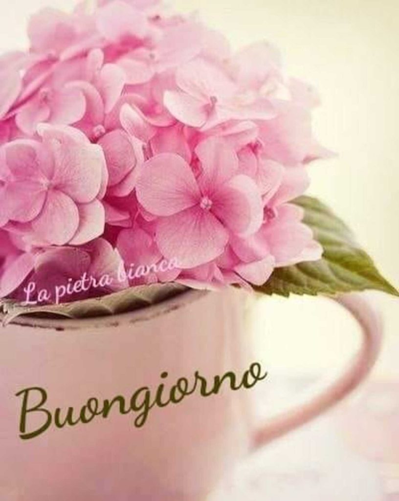 Buongiorno