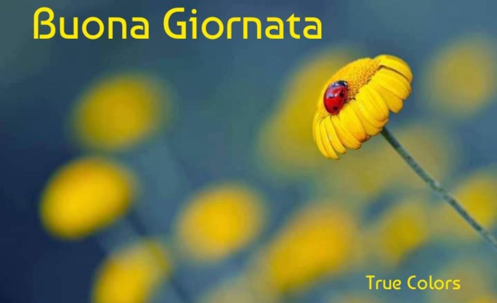 Buona Giornata