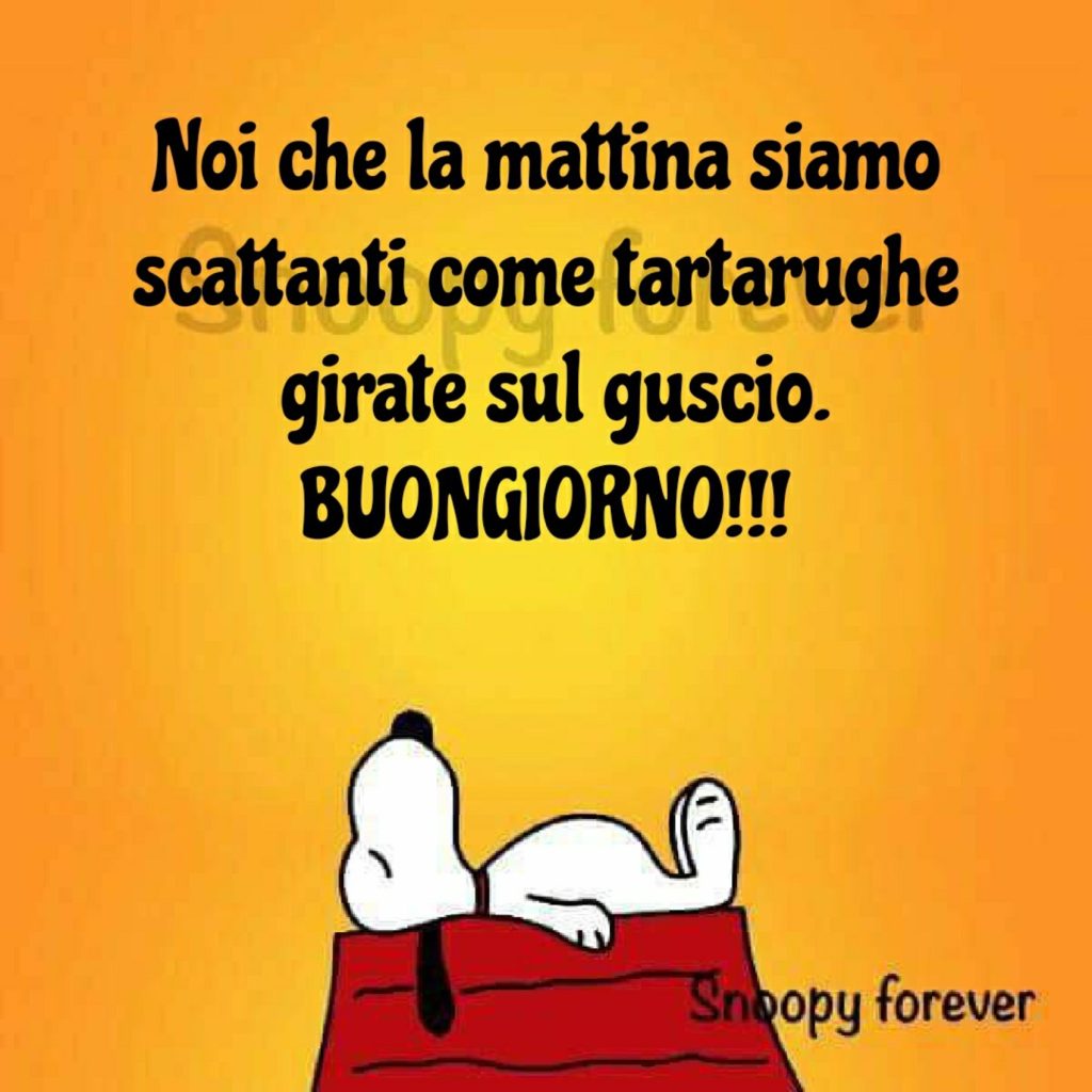 Noi che la mattina siamo scattanti come tartarughe girate sul guscio. Buongiorno!!!!