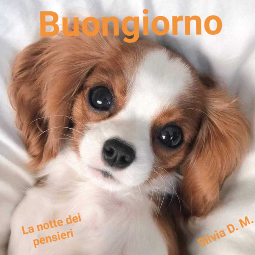 Buongiorno