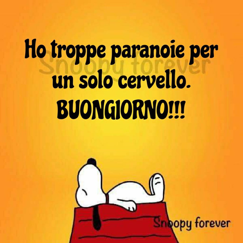 Ho troppe paranoie per un solo cervello. Buongiorno!!!