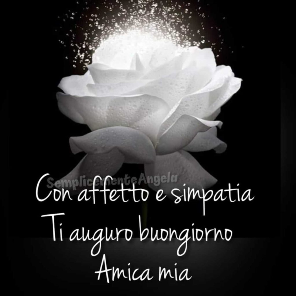 Con affetto e simpatia Ti auguro buongiorno amica mia
