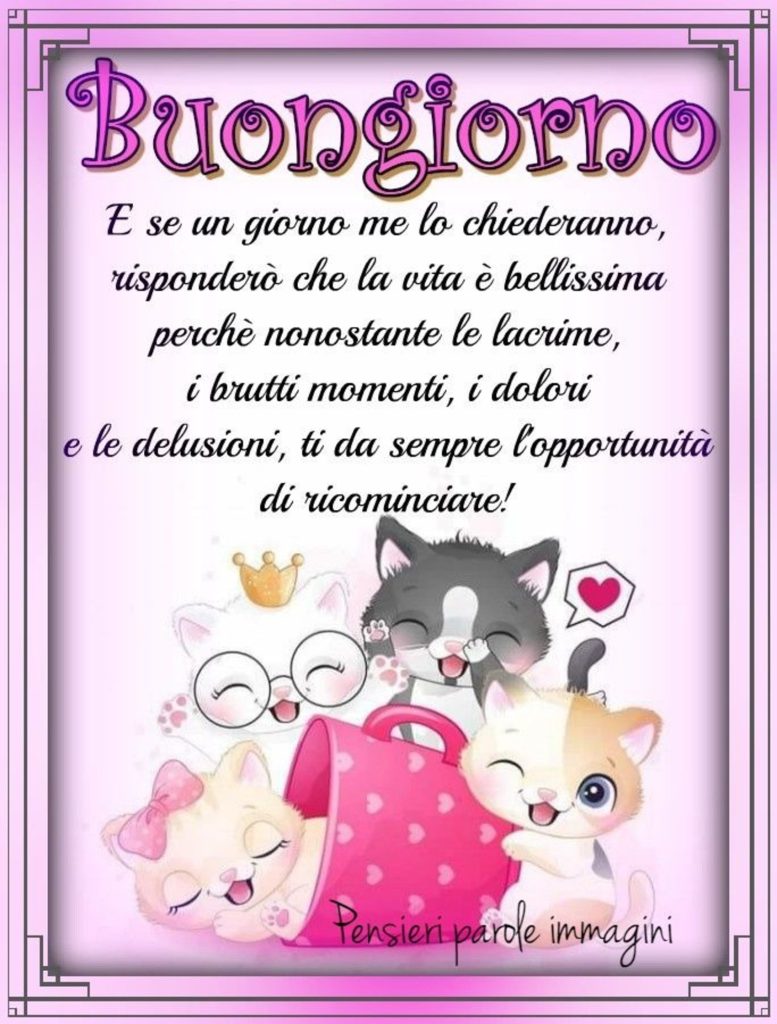 Buongiorno e se un giorno me lo chiederanno, risponderò che la vita è bellissima perché nonostante le lacrime, i brutti momenti, i dolori e le delusioni, ti da sempre l'opportunità di ricominciare!