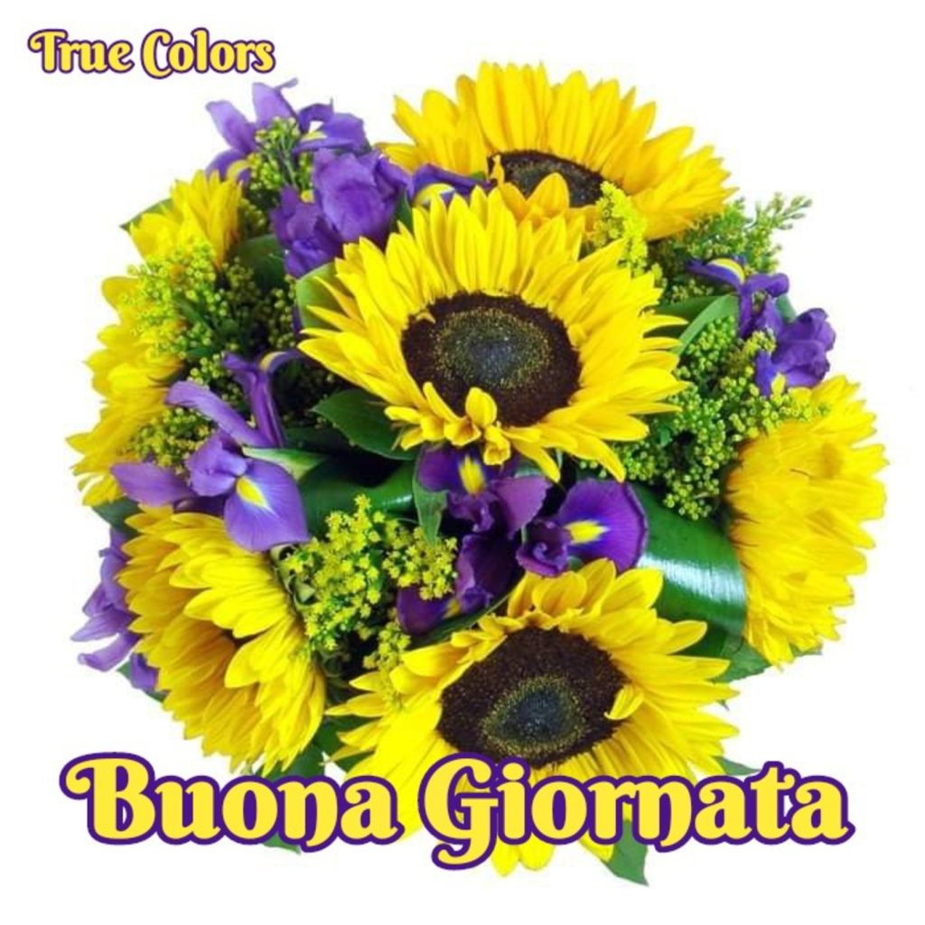 Buona Giornata