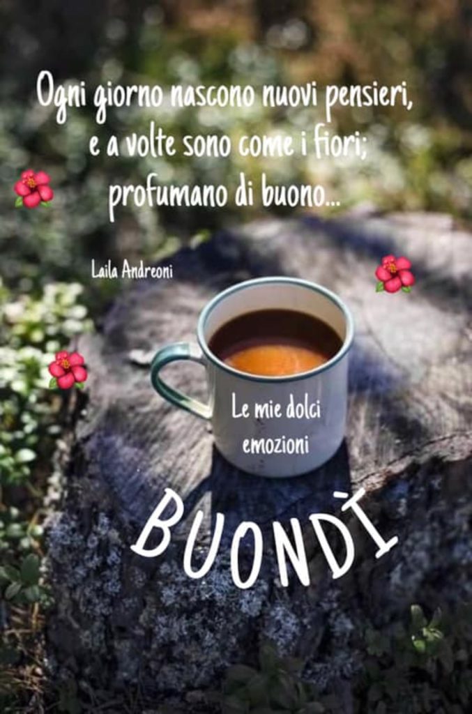 Ogni giorno nascono nuovi pensieri, e a volte sono come i fiori; profumano di buono...Buondì