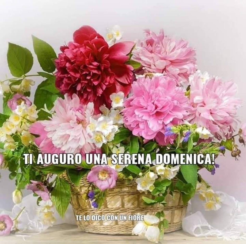 Ti auguro una serena domenica!