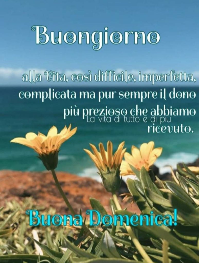 Buongiorno alla vita, così difficile, imperfetta, complicata ma pur sempre il dono più prezioso che abbiamo ricevuto Buona Domenica