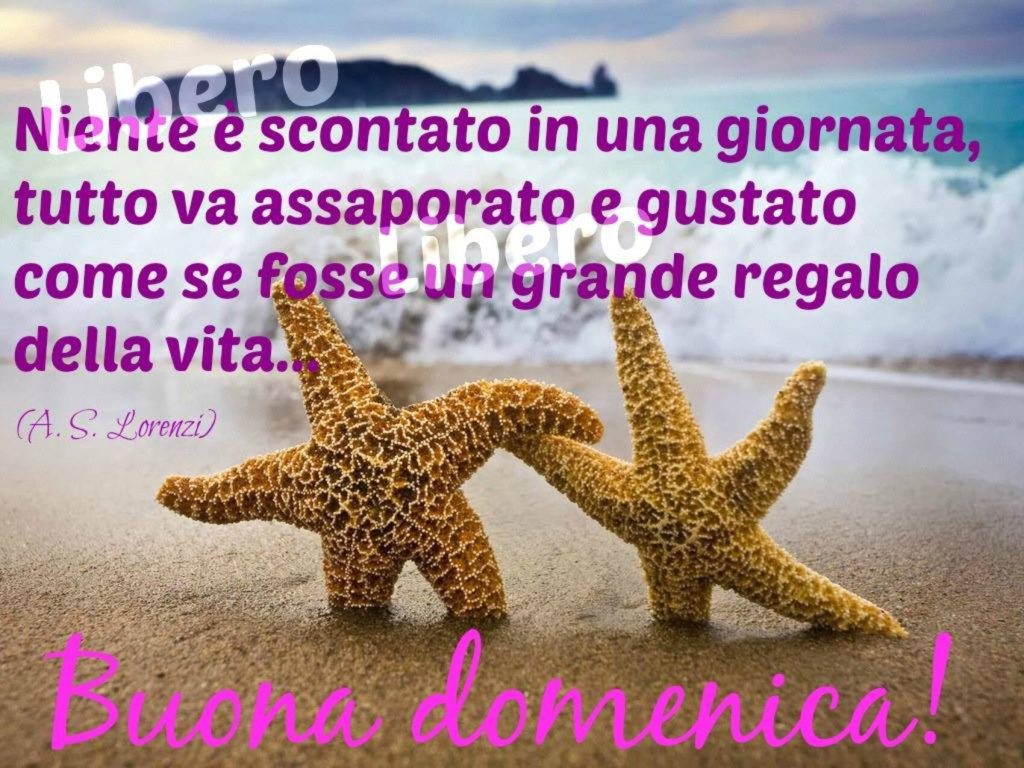 Niente è scontato in una giornata, tutto va assaporato e gustato come se fosse un grande regalo della vita... Buona domenica!