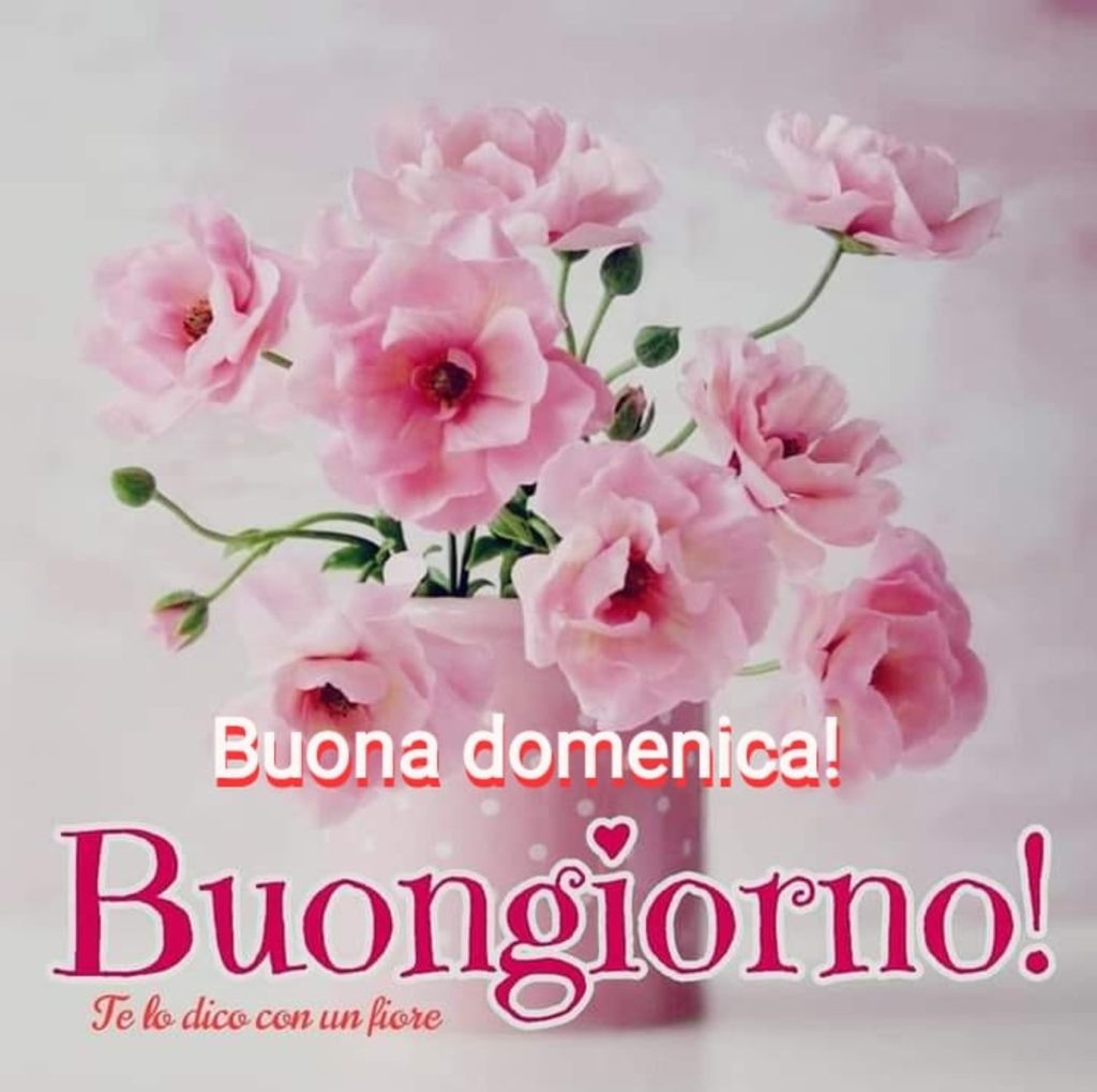 Buona Domenica Buongiorno!