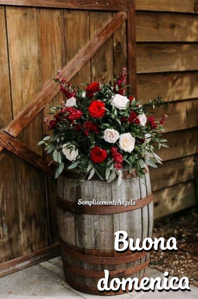 Buona domenica