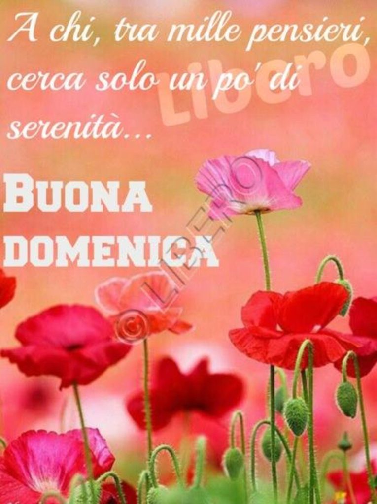 A chi tra mille pensieri cerca solo un po'di serenità...Buona Domenica 