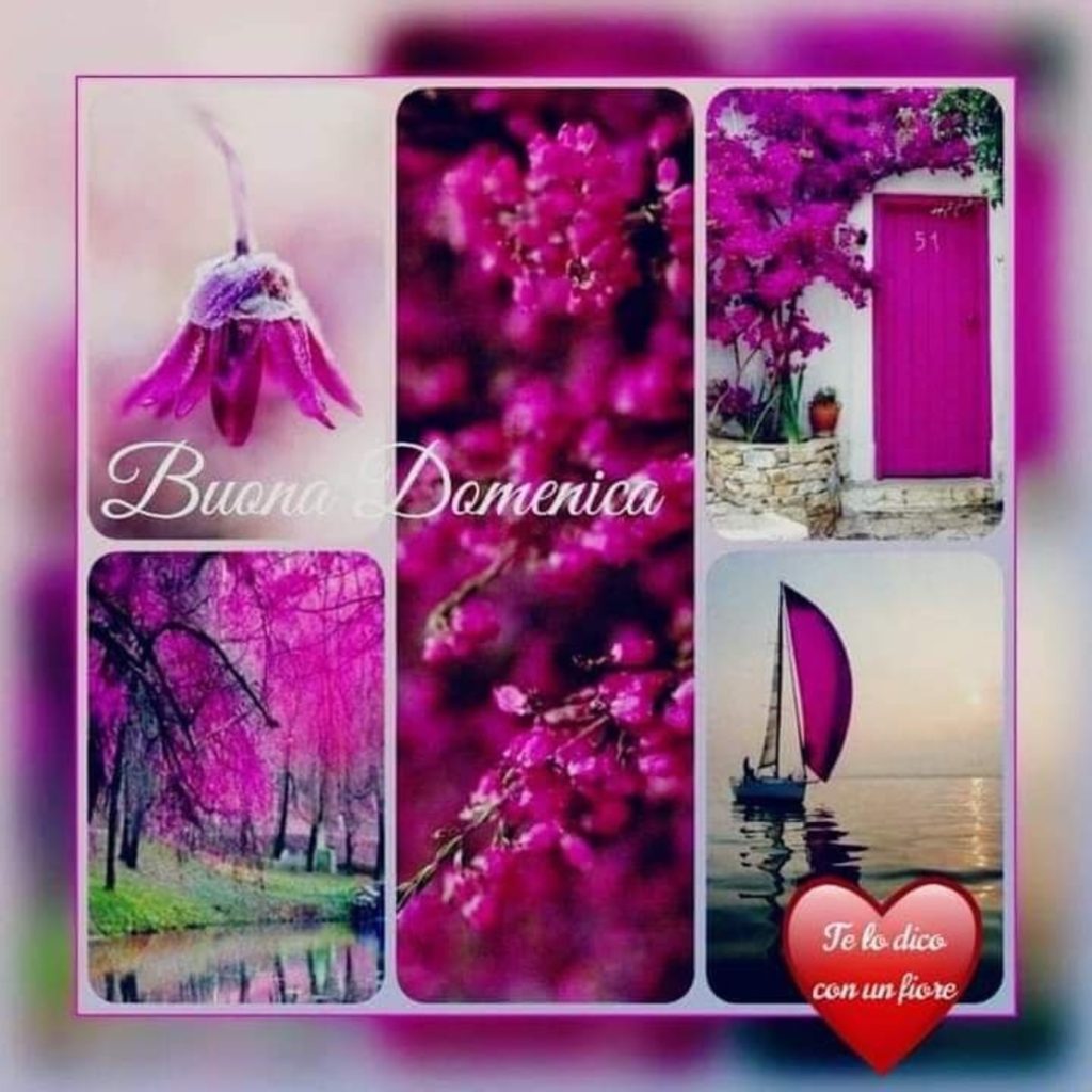 Buona Domenica