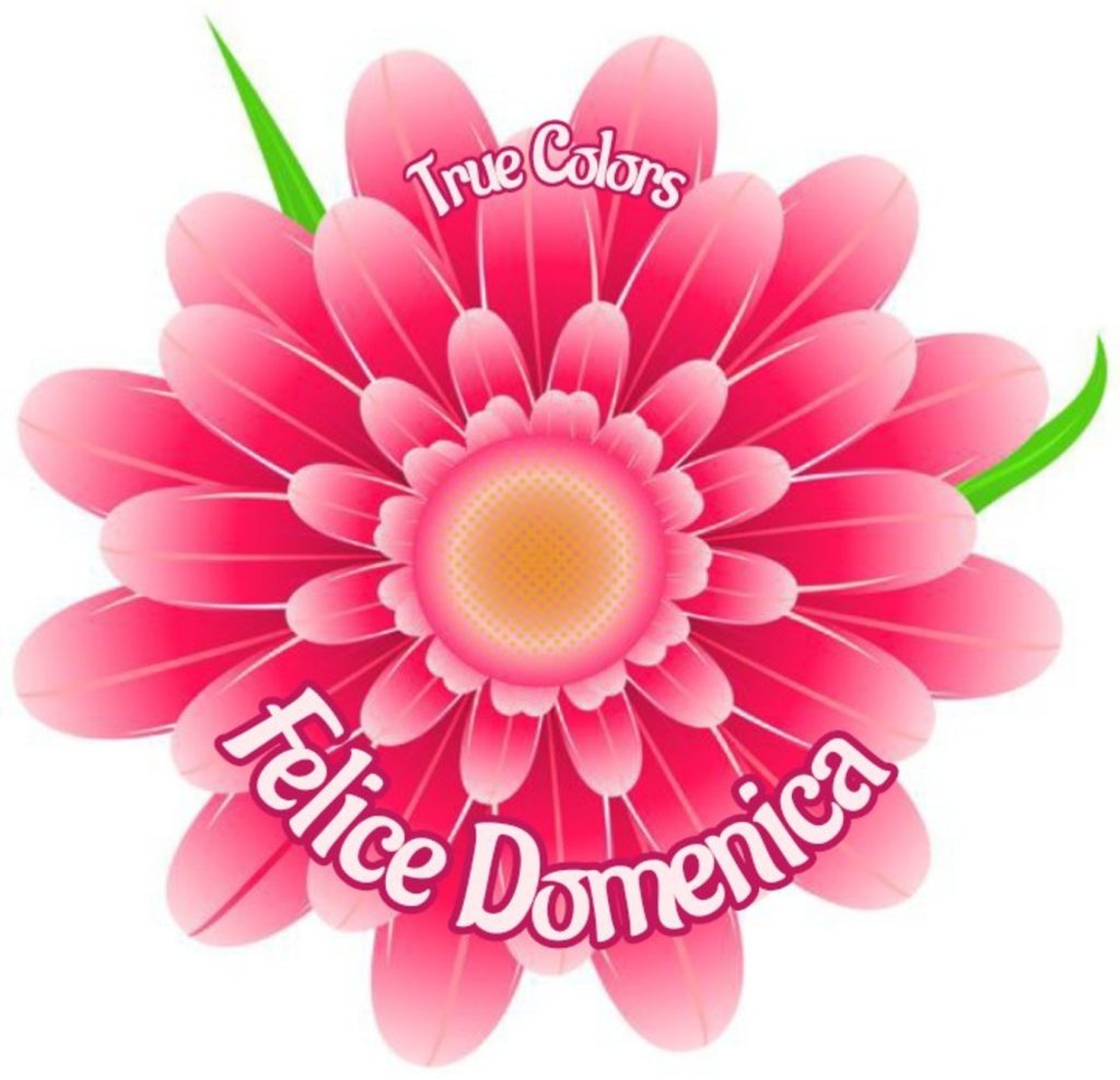 Felice domenica