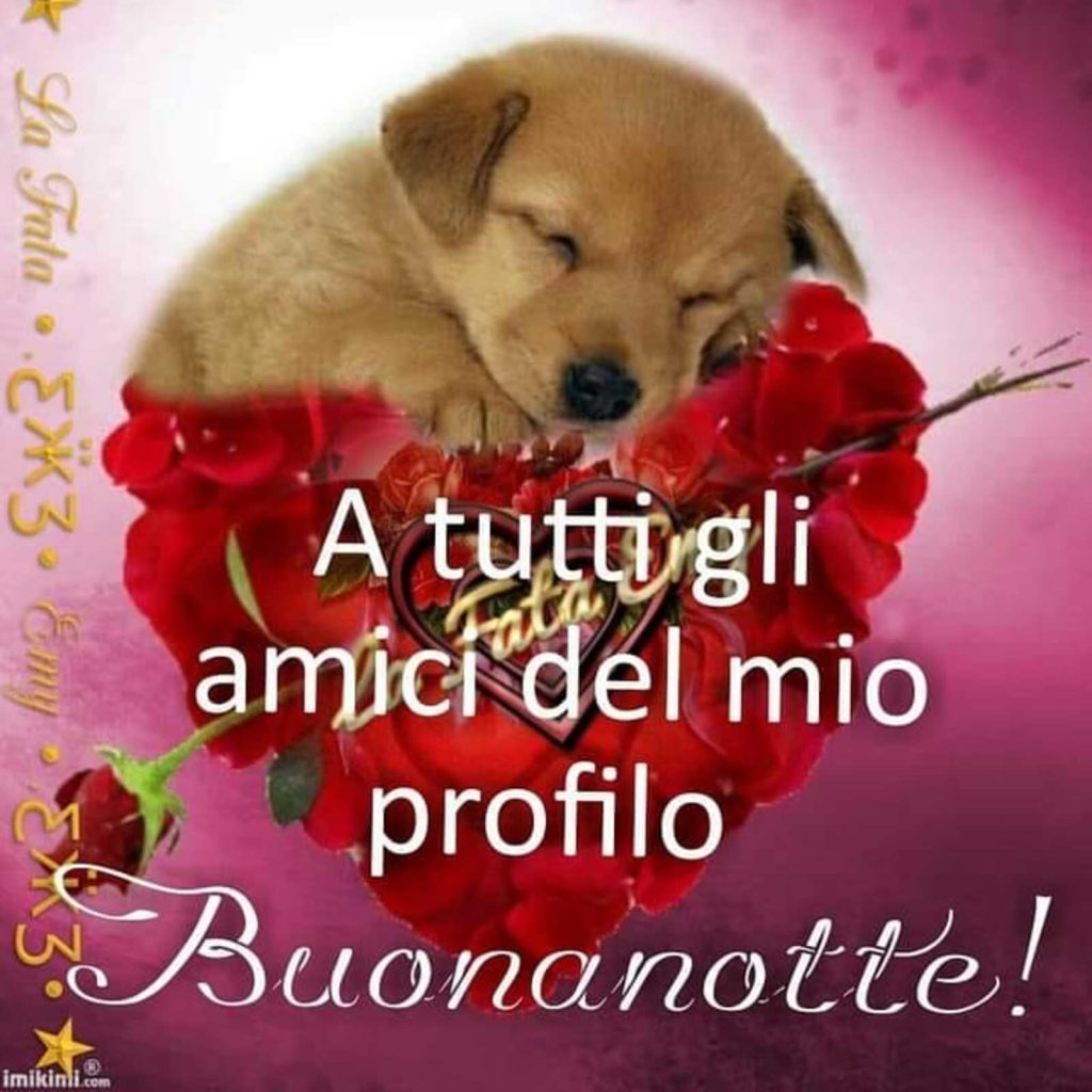 A tutti gli amici del mio profilo Buonanotte!