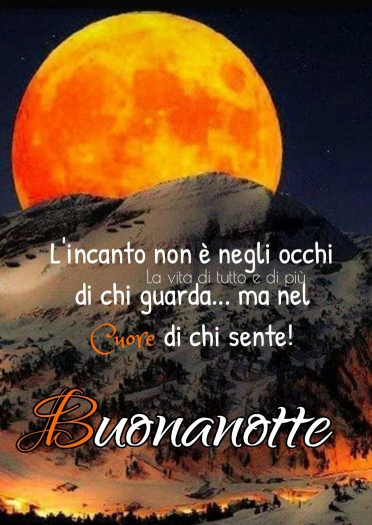 L'incanto non è negli occhi di chi guarda...ma nel Cuore di chi sente! Buonanotte