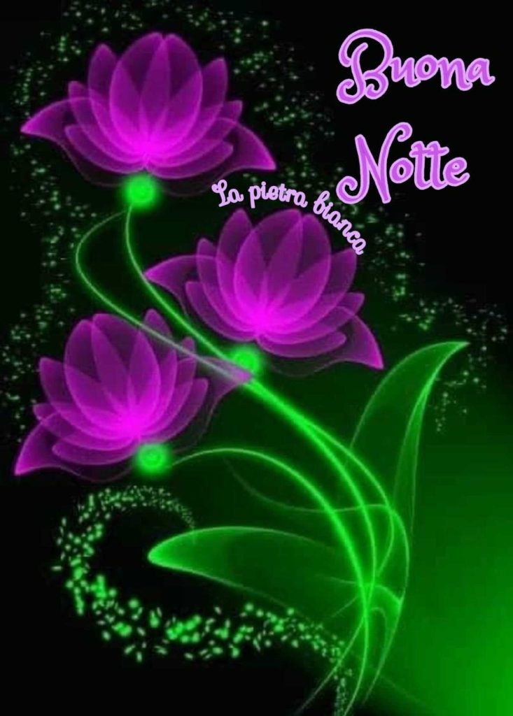 Buona Notte