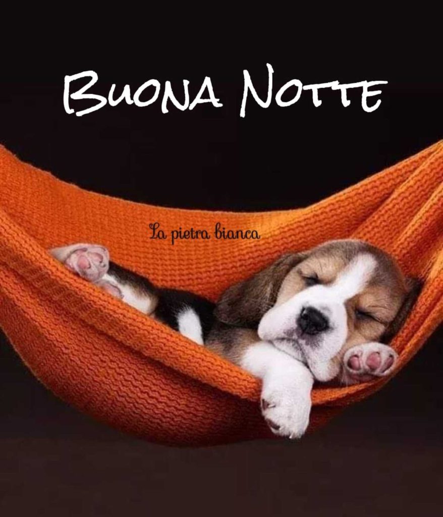Buona Notte