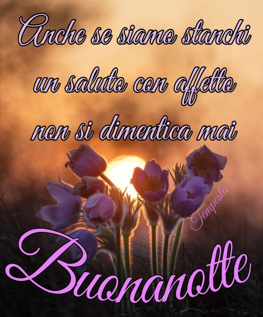 Anche se siamo stanchi un saluto con affetto non si dimentica mai Buonanotte