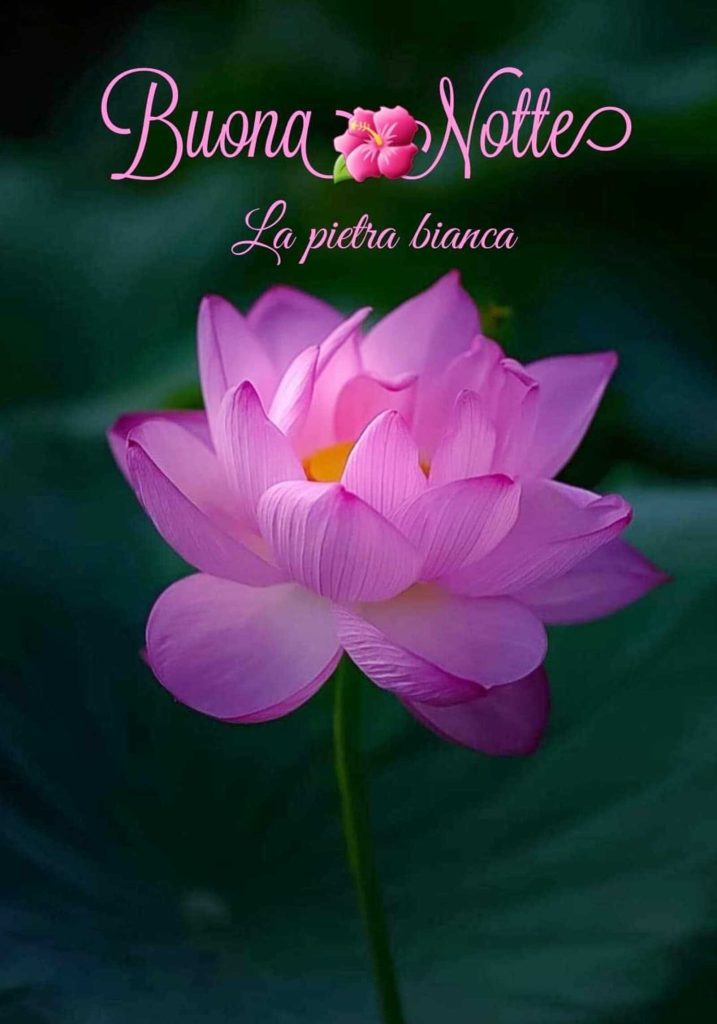 Buona notte