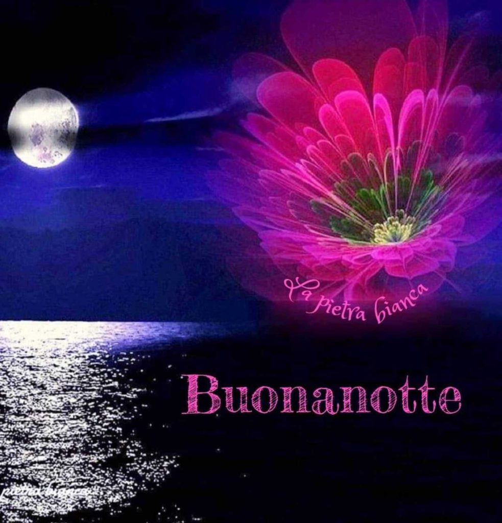 Buonanotte