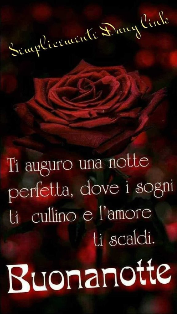 Ti auguro una notte perfetta, dove i sogni ti cullino e l'amore ti scaldi Buonanotte