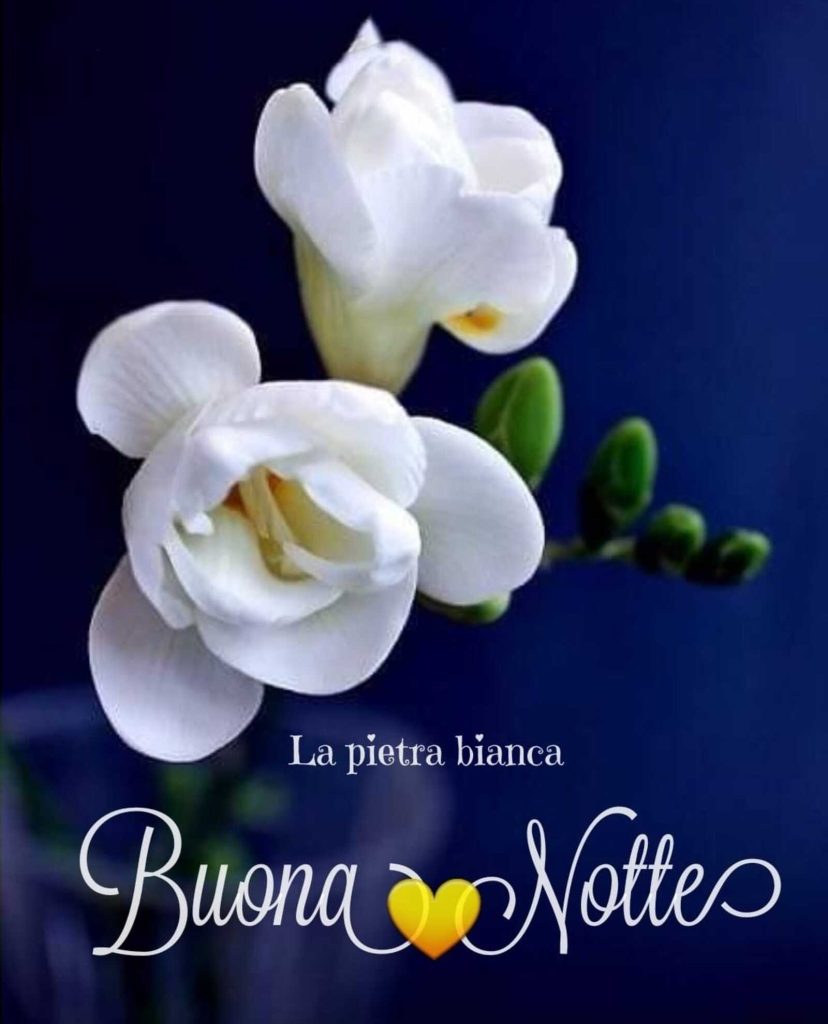 Buona Notte