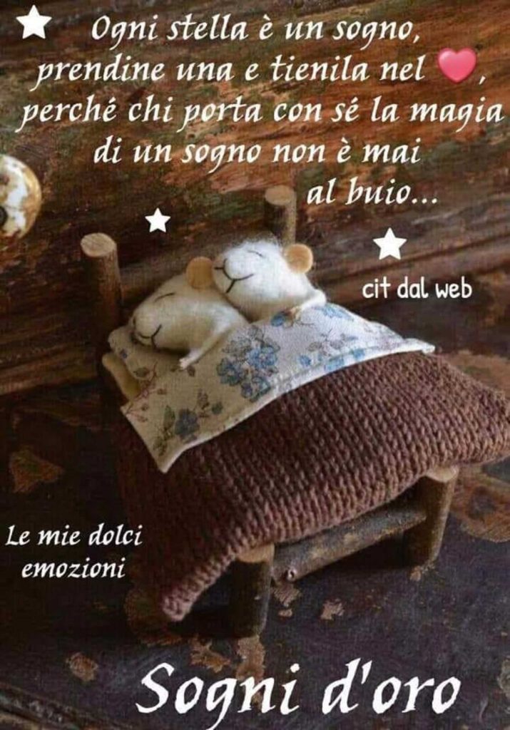 Ogni stella è un sogno, prendine una e tienila nel cuore, perché chi porta con sé la magia di un sogno non è mai al buio... Sogni d'oro