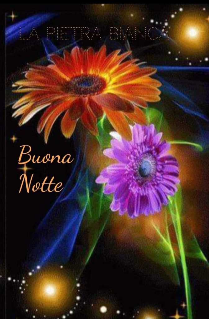 Buona Notte