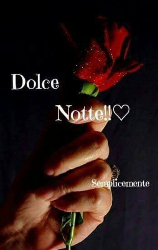 Dolce Notte