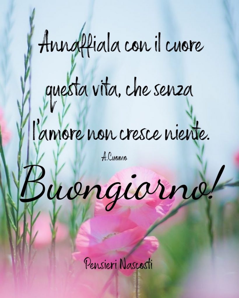 Annaffiala con il cuore questa vita, che senza l'amore non cresce niente. Buongiorno!