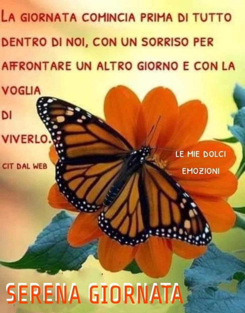 La giornata comincia prima di tutto dentro di noi, con un sorriso per affrontare un altro giorno e con la voglia di viverlo. Serena Giornata