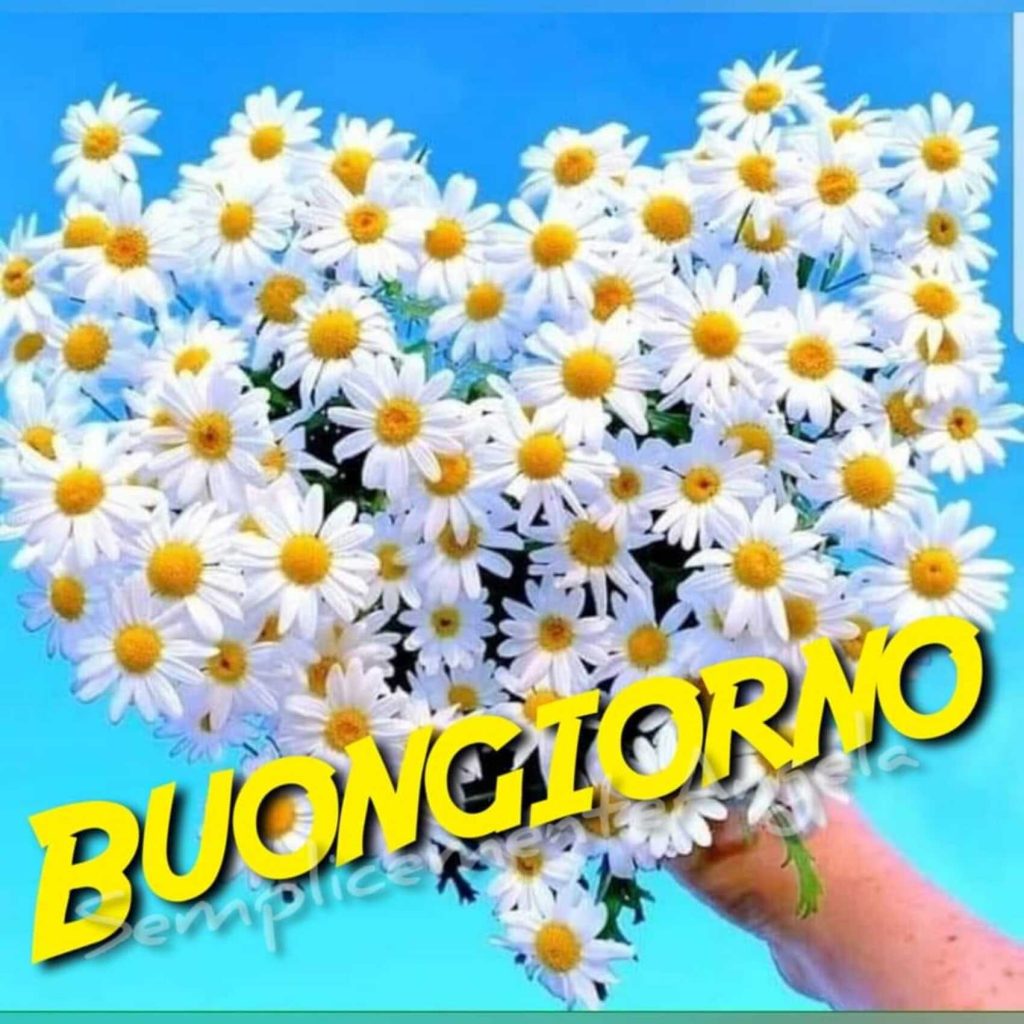 Buongiorno