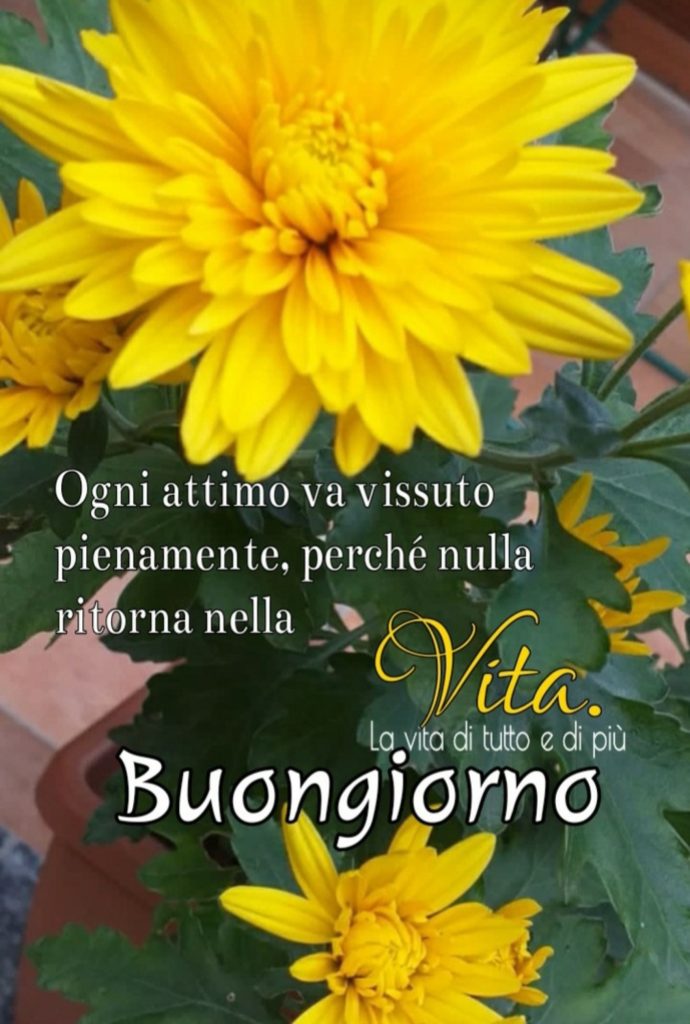 Ogni attimo va vissuto pienamente, perché nulla ritorna nella vita. Buongiorno
