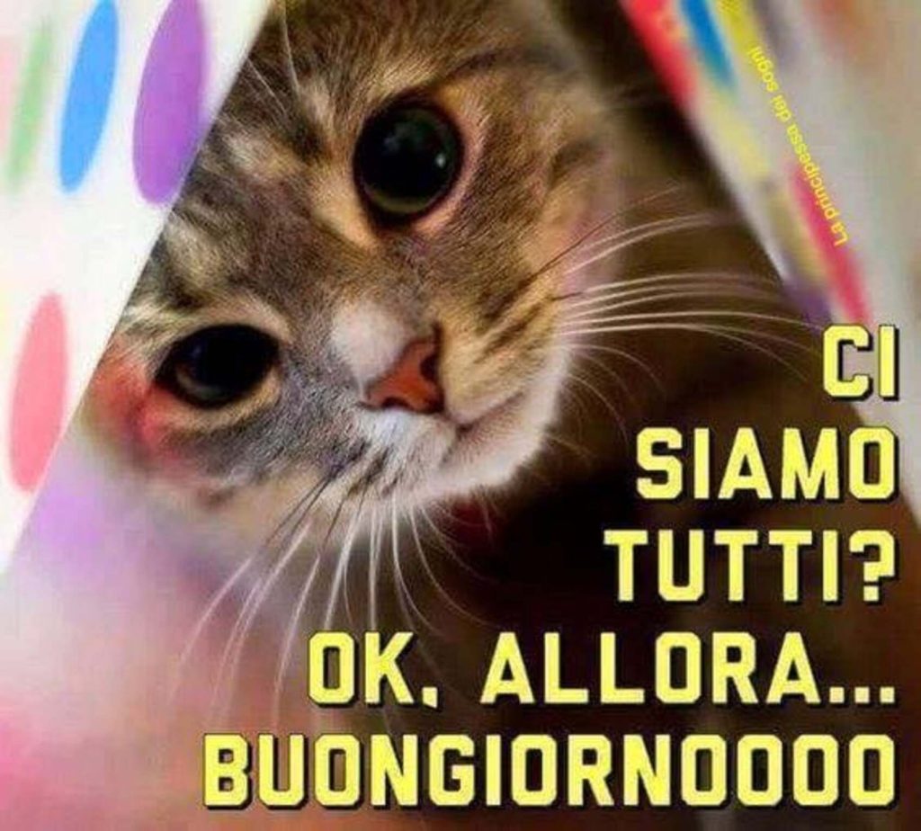 Ci siamo tutti? ok, allora...Buongiorno