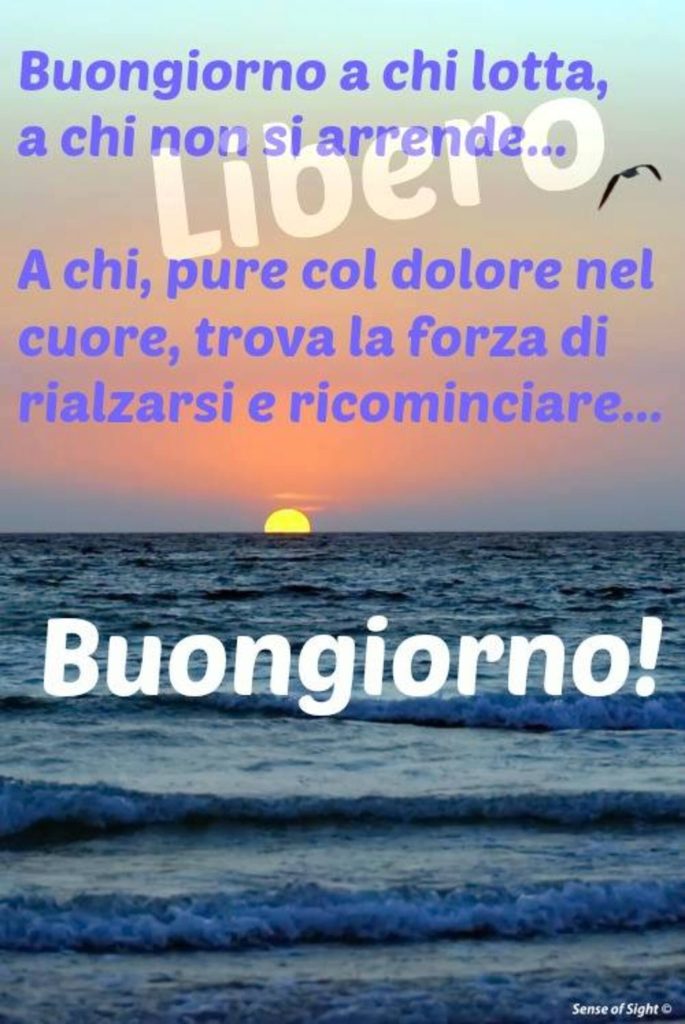 Buongiorno a chi lotta, a chi non si arrende...A chi, pure col dolore nel cuore, trova la forza di rialzarsi e ricominciare... Buongiorno!
