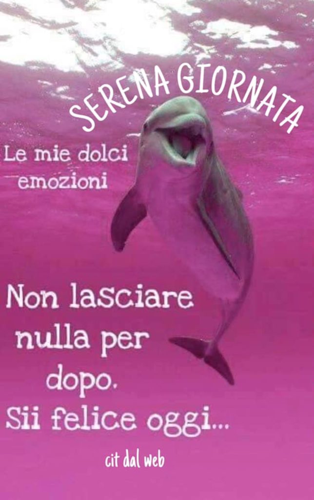 Serena giornata non lasciare nulla per dopo. Sii felice oggi...