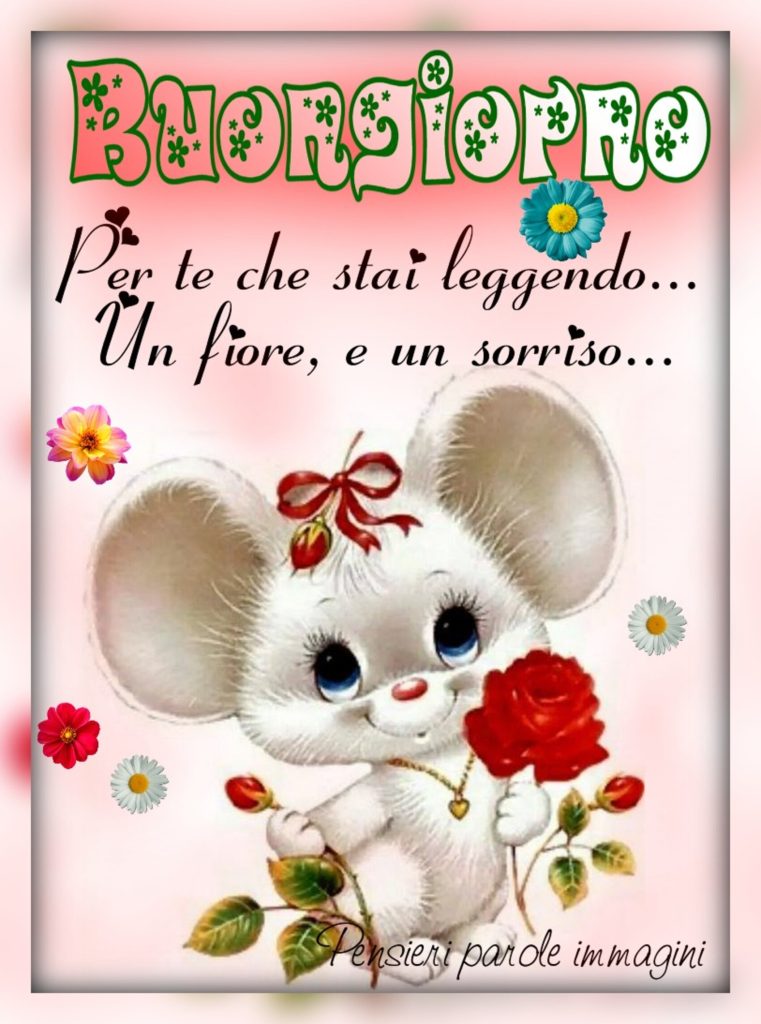 Buongiorno per te che stai leggendo... un fiore, e un sorriso...