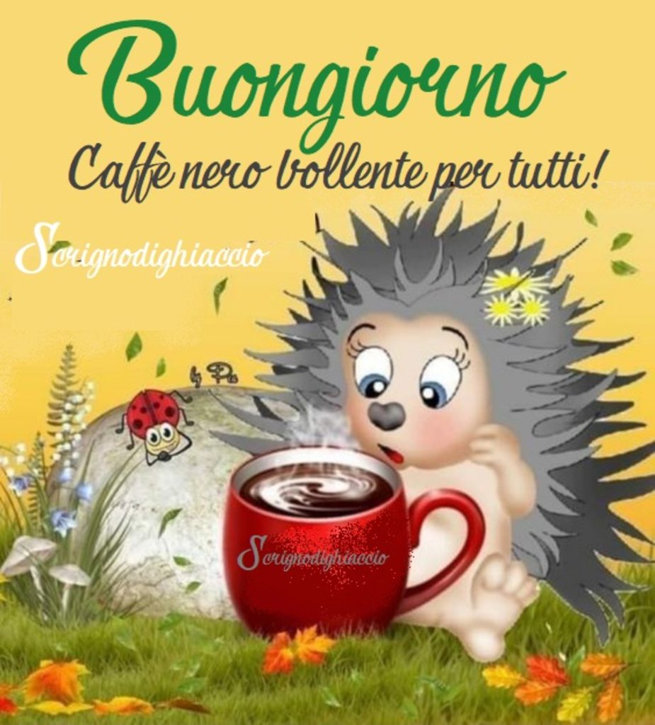 Buongiorno caffé nero bollente per tutti!